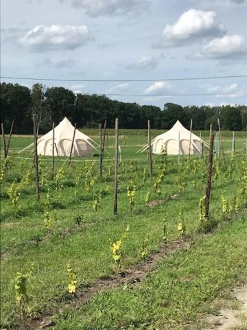 Natuur-Like Glamping In Bosland Neerpelt Exterior foto