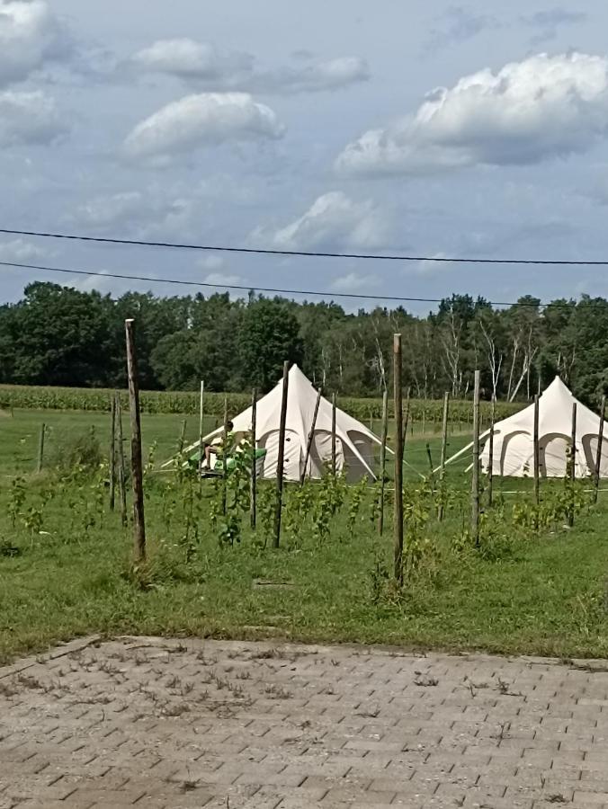 Natuur-Like Glamping In Bosland Neerpelt Exterior foto