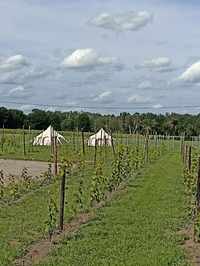 Natuur-Like Glamping In Bosland Neerpelt Exterior foto
