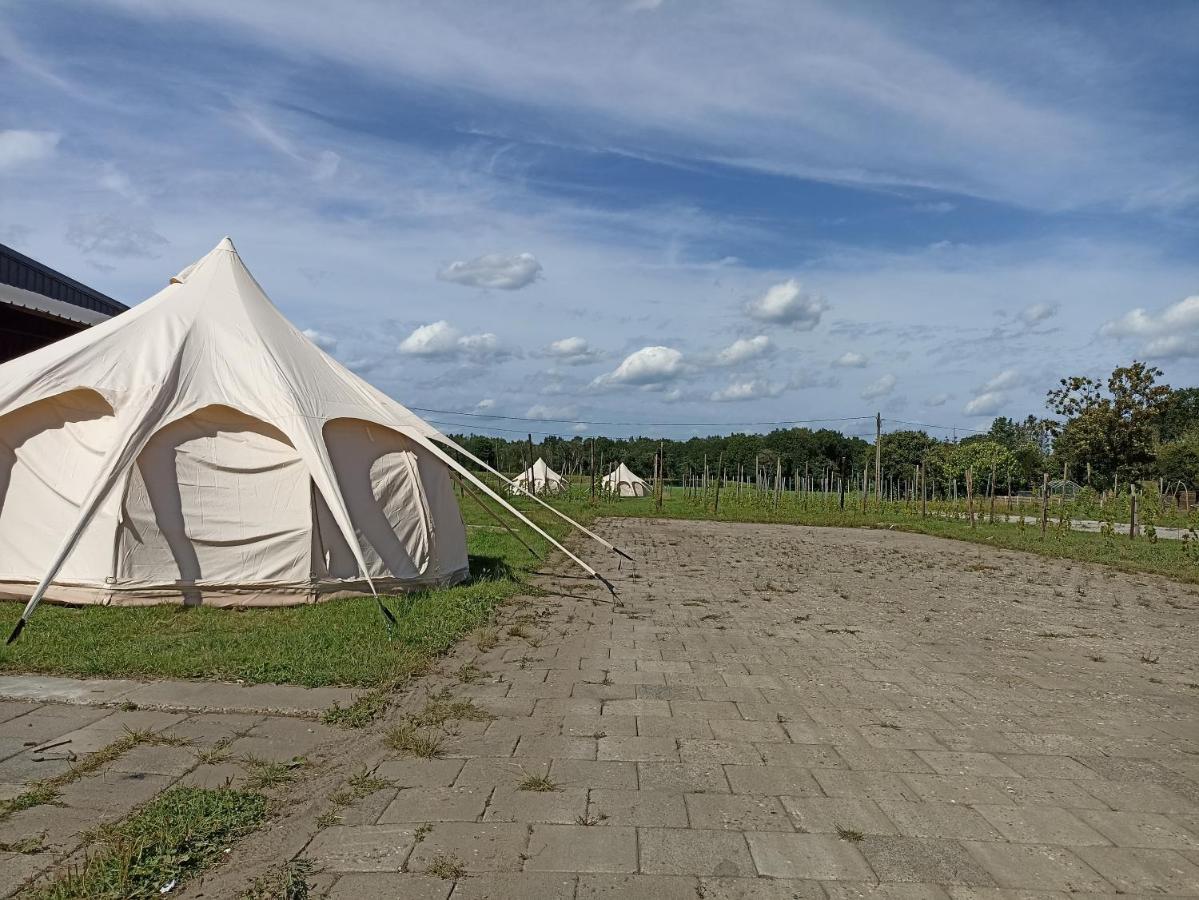 Natuur-Like Glamping In Bosland Neerpelt Exterior foto