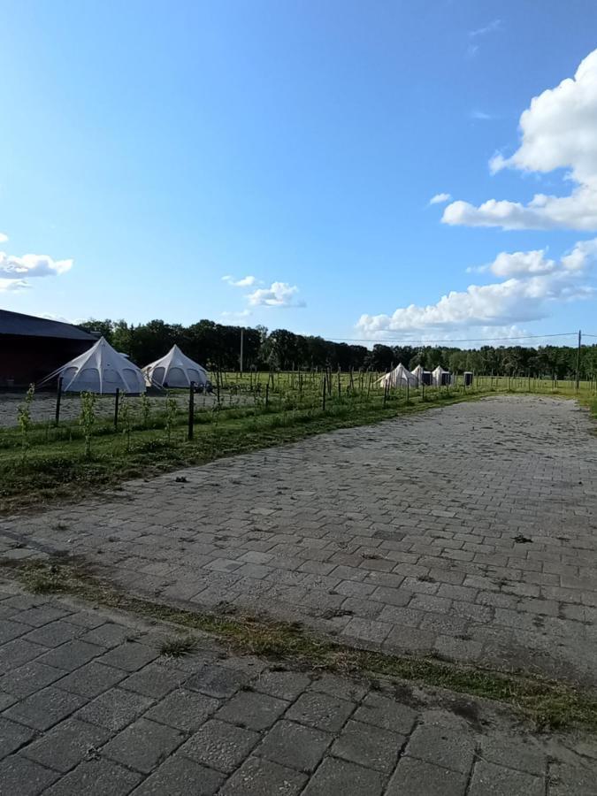 Natuur-Like Glamping In Bosland Neerpelt Exterior foto